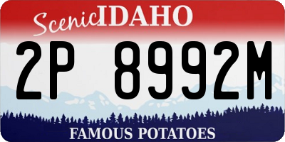ID license plate 2P8992M
