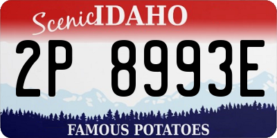 ID license plate 2P8993E