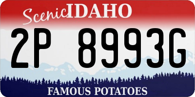 ID license plate 2P8993G