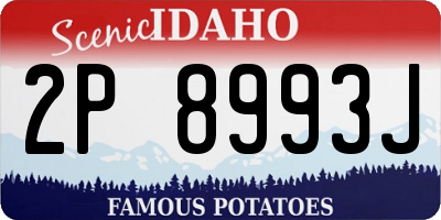 ID license plate 2P8993J