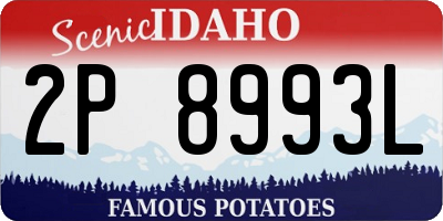 ID license plate 2P8993L
