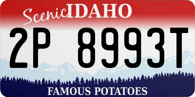 ID license plate 2P8993T