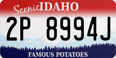 ID license plate 2P8994J