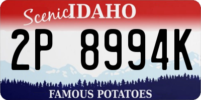 ID license plate 2P8994K