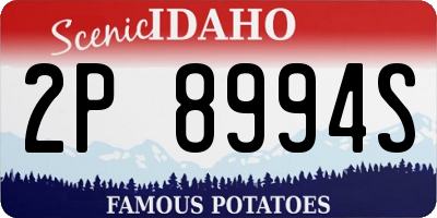 ID license plate 2P8994S