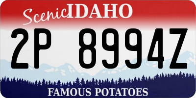 ID license plate 2P8994Z