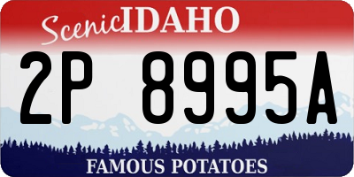 ID license plate 2P8995A
