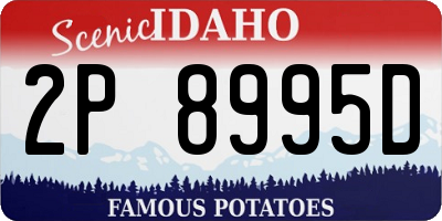 ID license plate 2P8995D