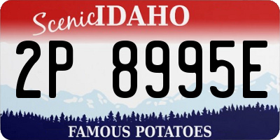 ID license plate 2P8995E