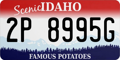 ID license plate 2P8995G