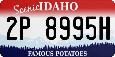 ID license plate 2P8995H