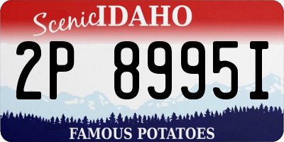 ID license plate 2P8995I