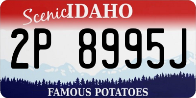 ID license plate 2P8995J