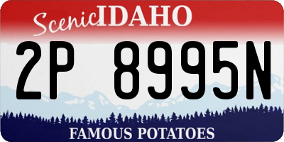 ID license plate 2P8995N
