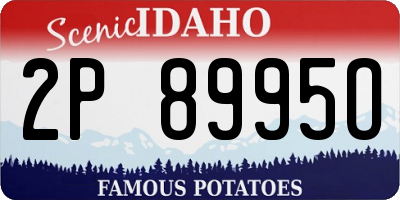 ID license plate 2P8995O