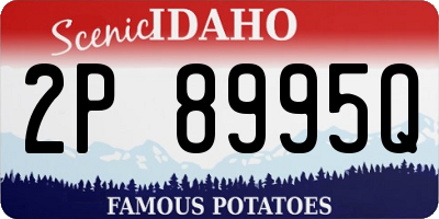 ID license plate 2P8995Q