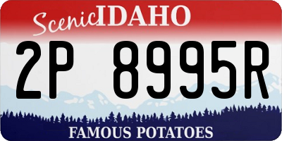 ID license plate 2P8995R