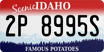 ID license plate 2P8995S