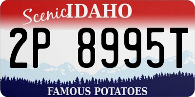 ID license plate 2P8995T