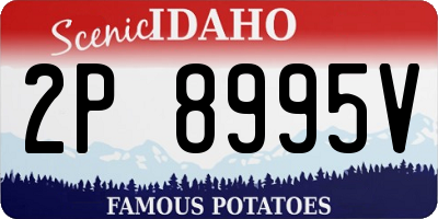 ID license plate 2P8995V