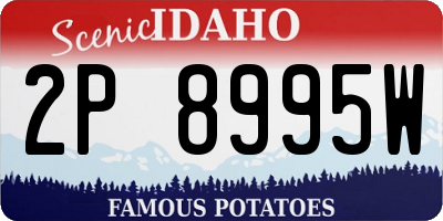 ID license plate 2P8995W