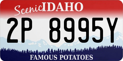 ID license plate 2P8995Y