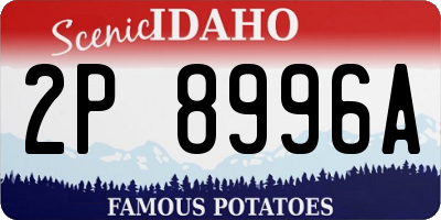 ID license plate 2P8996A