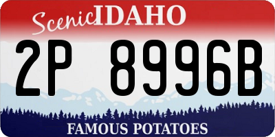 ID license plate 2P8996B