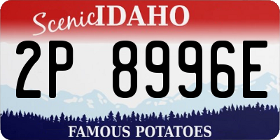 ID license plate 2P8996E