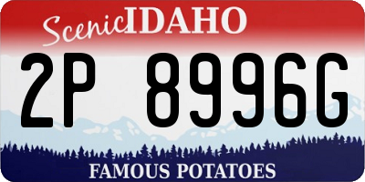 ID license plate 2P8996G