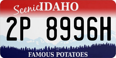 ID license plate 2P8996H