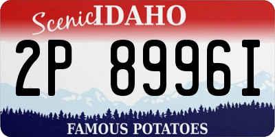 ID license plate 2P8996I