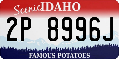 ID license plate 2P8996J