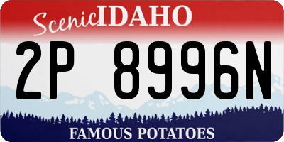 ID license plate 2P8996N