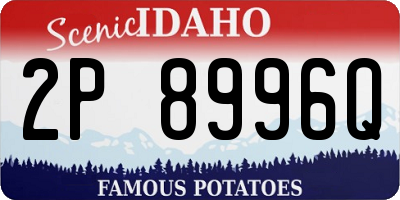 ID license plate 2P8996Q