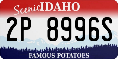 ID license plate 2P8996S