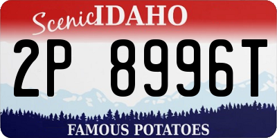 ID license plate 2P8996T