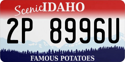 ID license plate 2P8996U