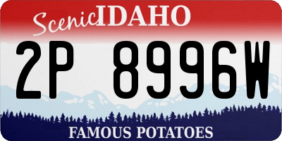 ID license plate 2P8996W