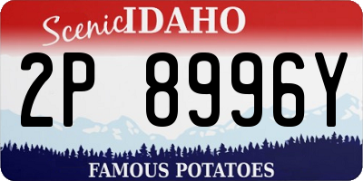 ID license plate 2P8996Y