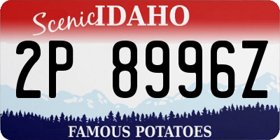 ID license plate 2P8996Z