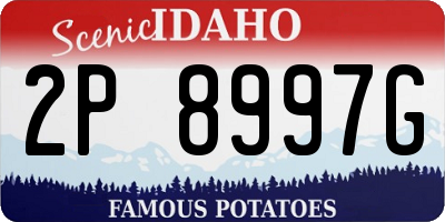 ID license plate 2P8997G