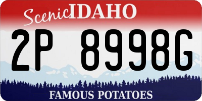 ID license plate 2P8998G