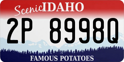 ID license plate 2P8998Q