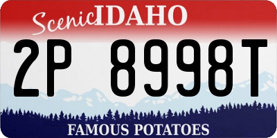 ID license plate 2P8998T