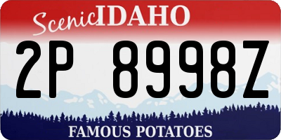 ID license plate 2P8998Z