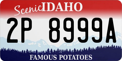 ID license plate 2P8999A