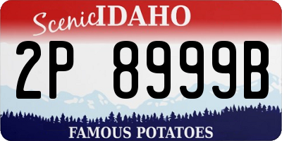 ID license plate 2P8999B