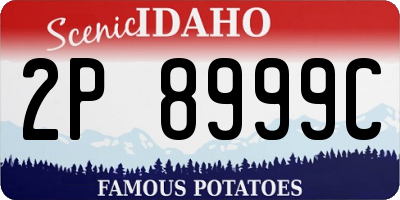 ID license plate 2P8999C