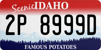 ID license plate 2P8999D